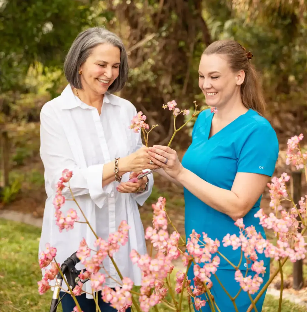 companion care services